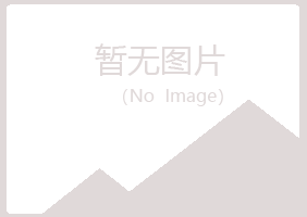 城子河区平淡建设有限公司